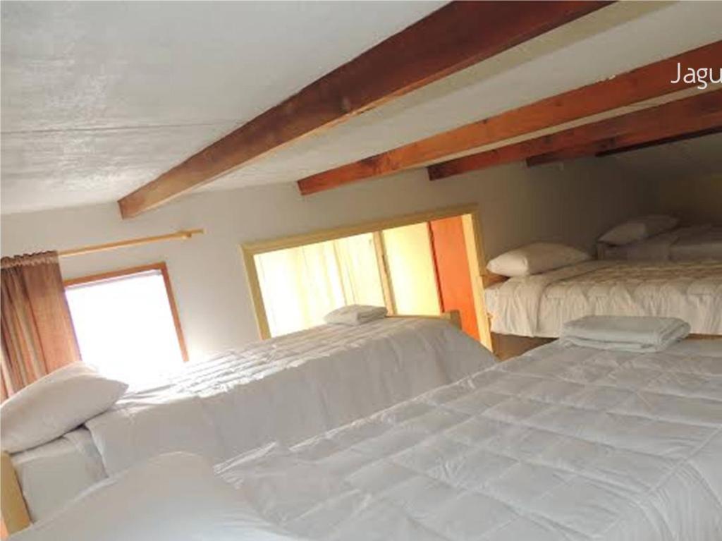 Hostel Jaguar Vina del Mar Pokoj fotografie